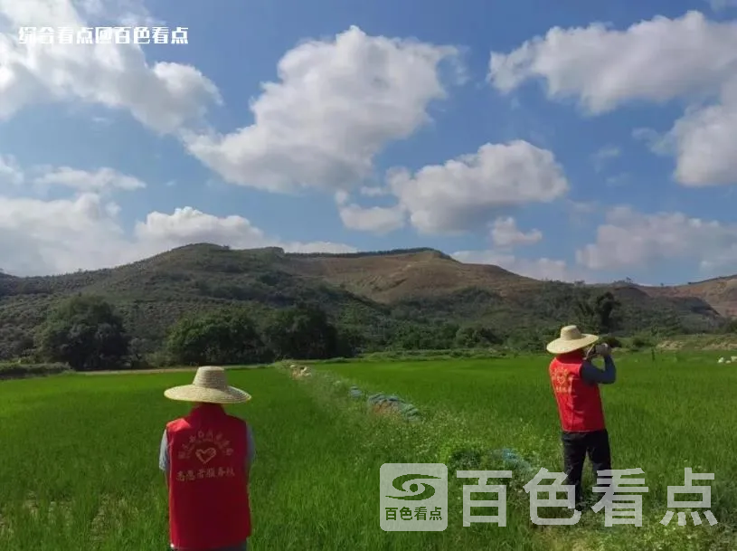 微信截图_20230616144217.webp
