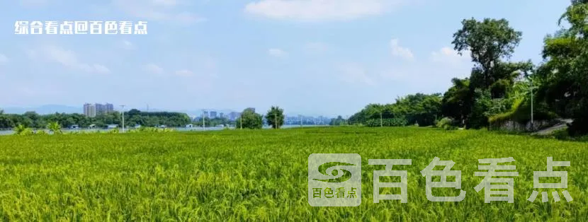 微信截图_20230616144225.webp