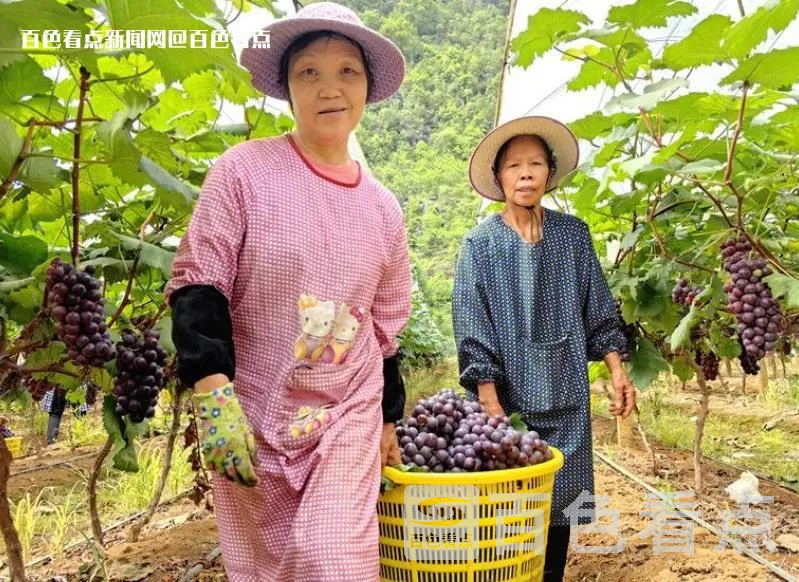 微信截图_20230619175752.webp