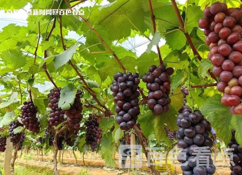 微信截图_20230619175745.webp