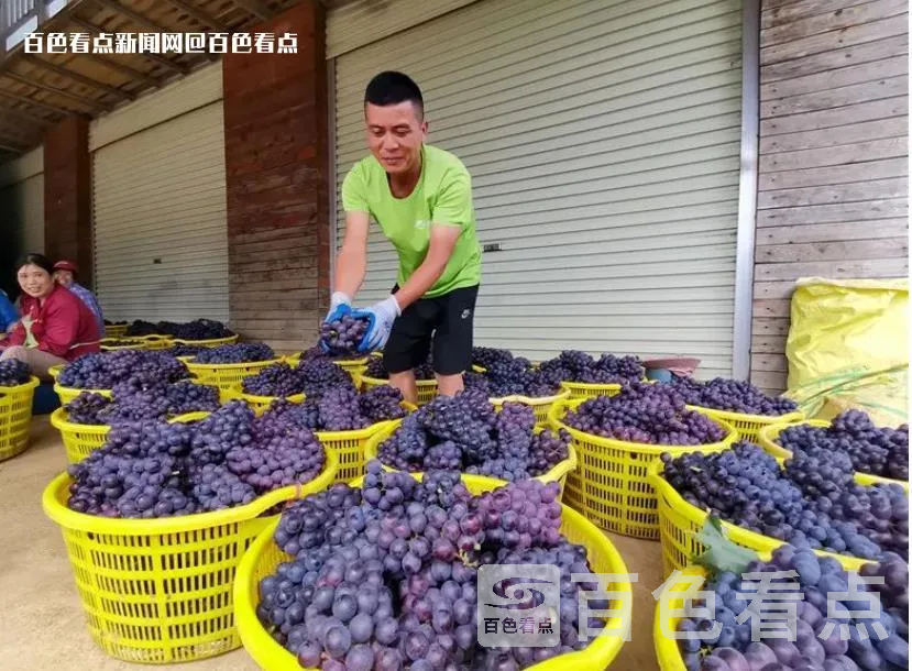 微信截图_20230619175812.webp