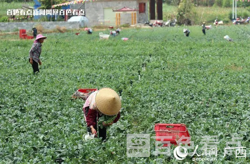 微信图片_20230620164953.webp