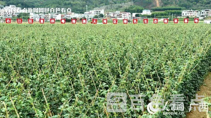 微信图片_20230620164949.webp