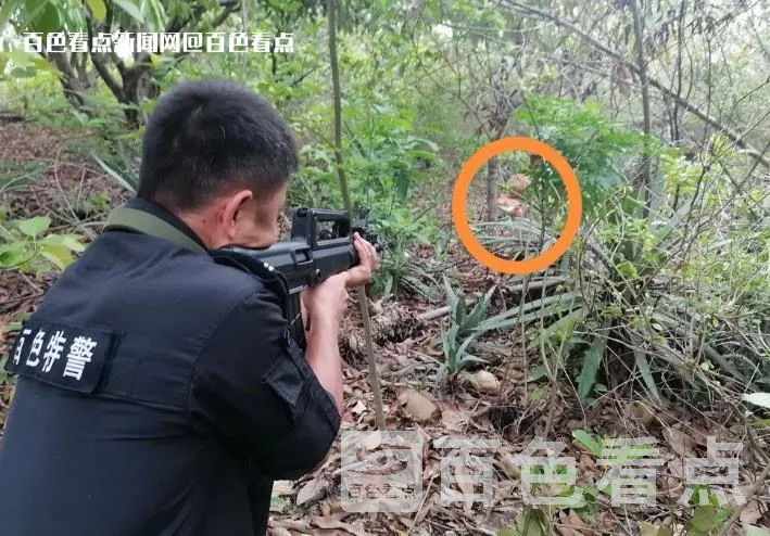 微信截图_20230624174207.webp