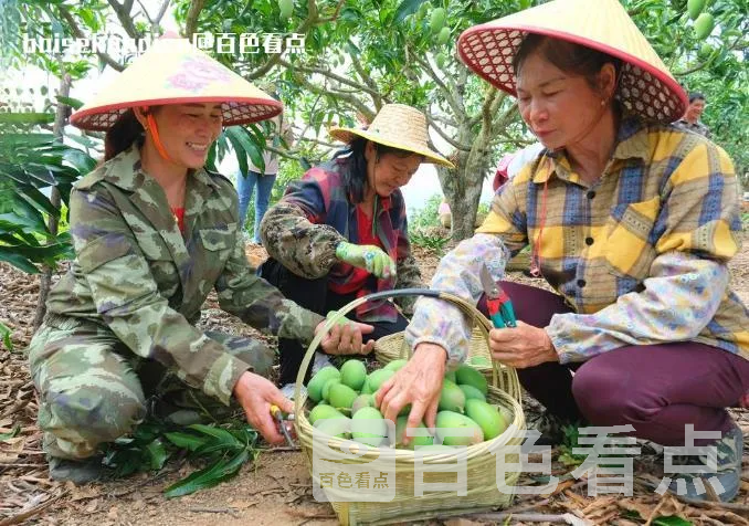 微信截图_20230625141616.webp