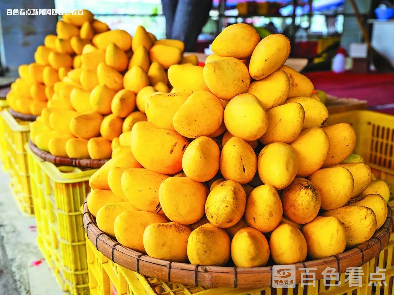 微信图片_20230628153036.webp