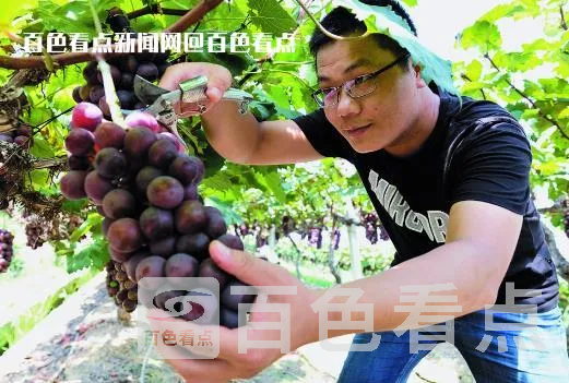 微信截图_20230706145324.webp