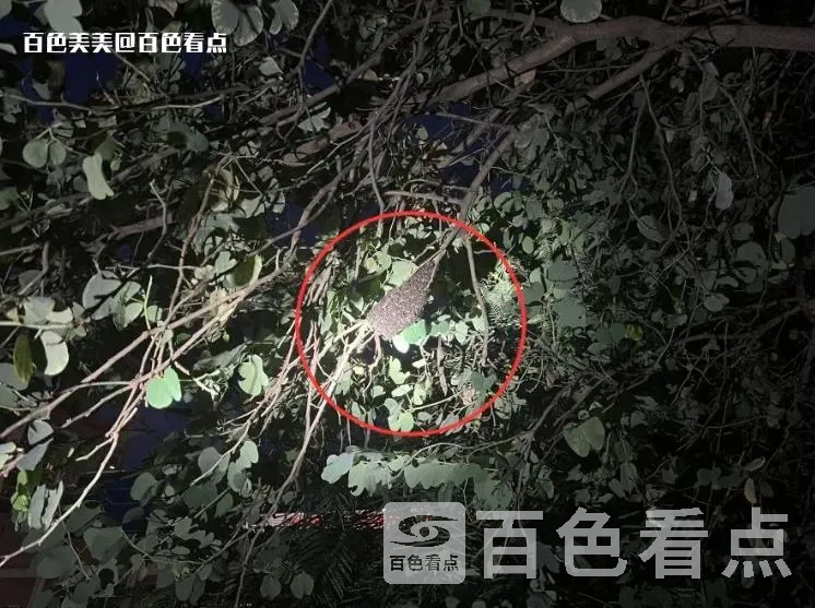 微信截图_20230711102753.webp