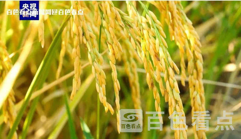 微信截图_20230712091723.webp