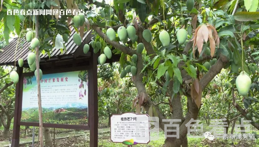 微信截图_20230712092036.webp
