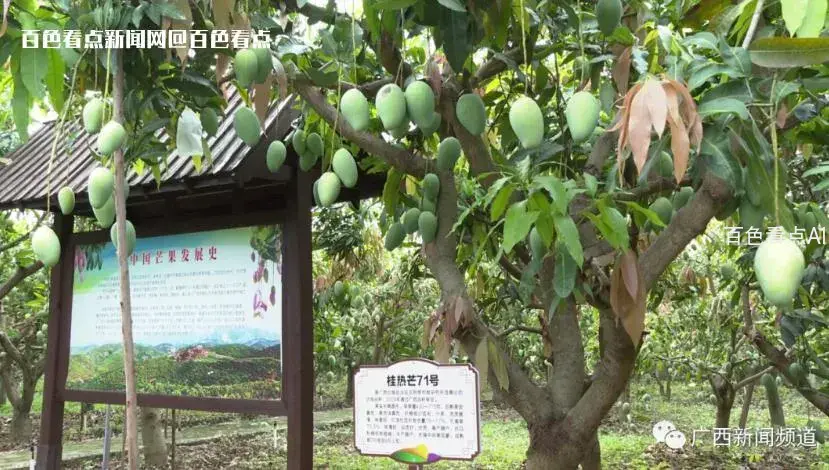 微信截图_20230712092036.webp