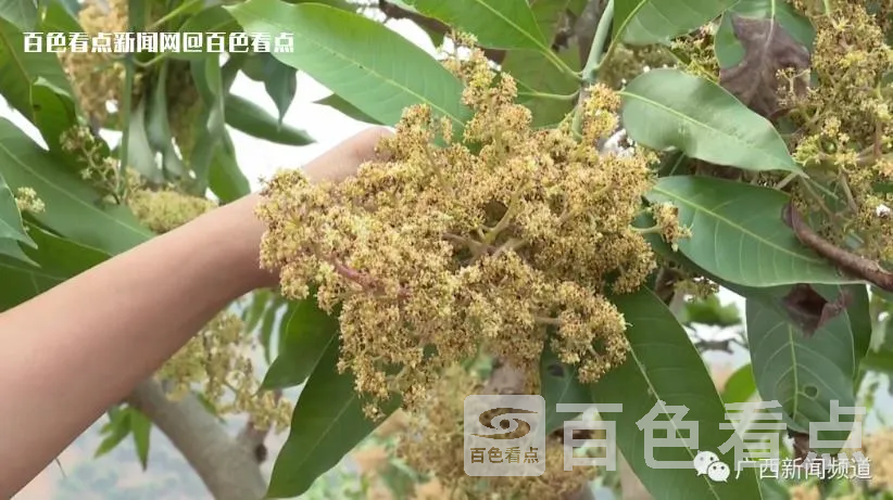 微信截图_20230712092051.webp