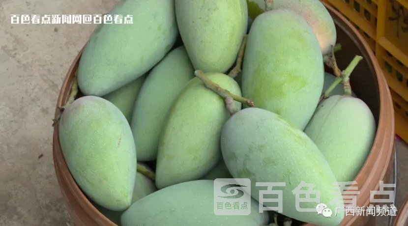 微信截图_20230712092105.webp