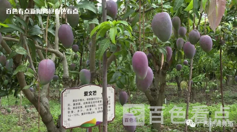 微信截图_20230712092058.webp