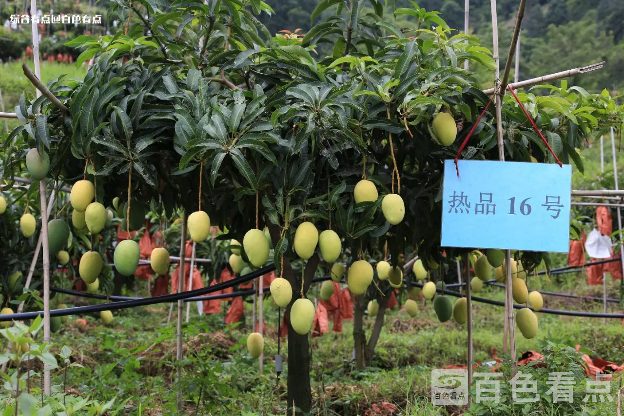 微信图片_20230713175727.webp