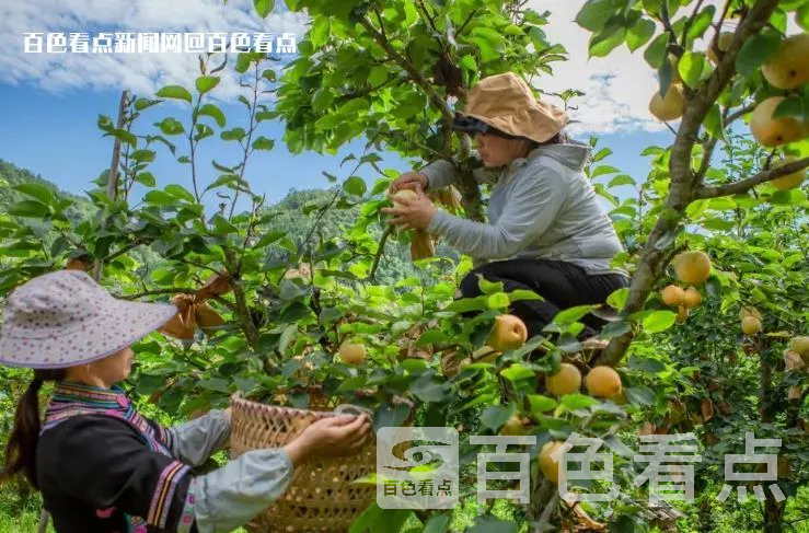 微信截图_20230714165054.webp