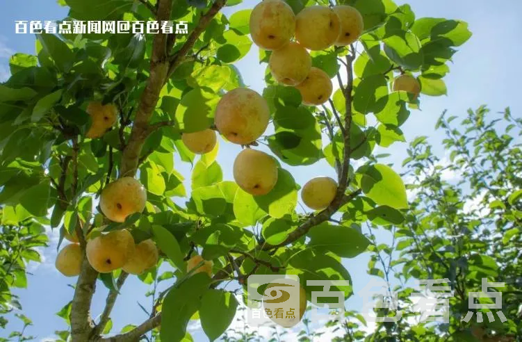 微信截图_20230714165048.webp