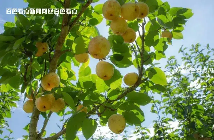 微信截图_20230714165048.webp