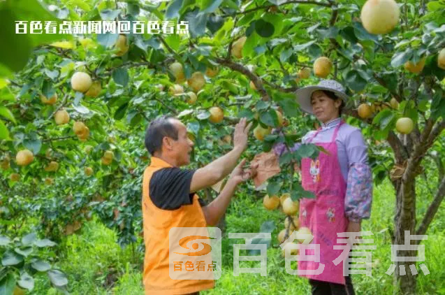 微信截图_20230714165107.webp