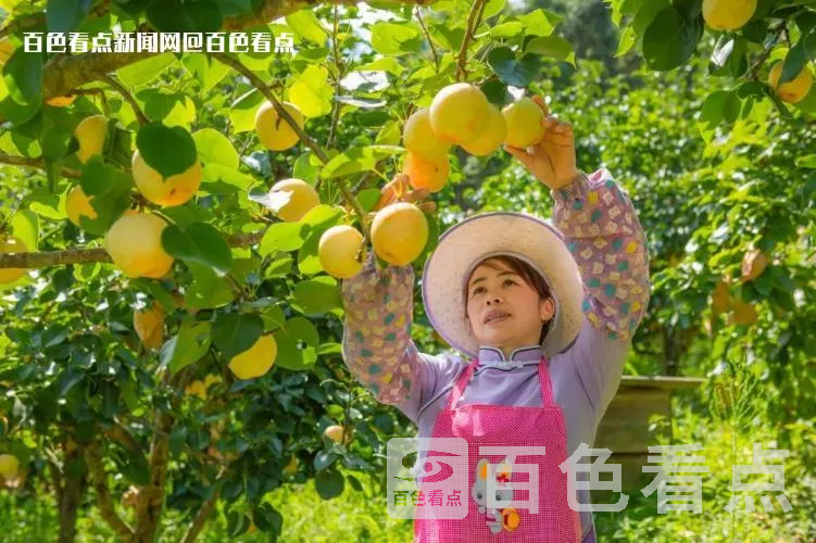 微信截图_20230714165100.webp