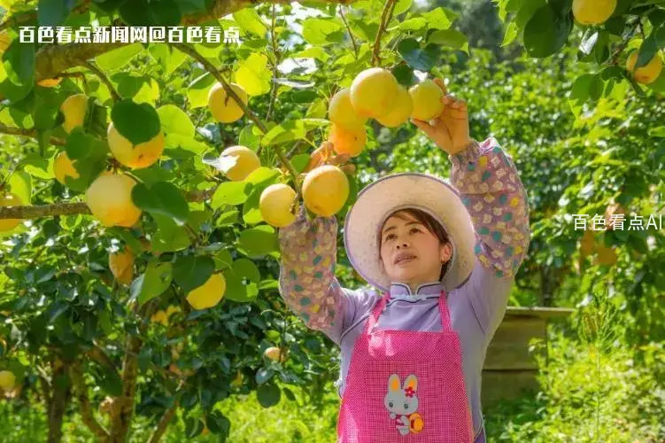 微信截图_20230714165100.webp