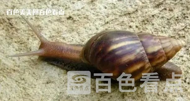 微信截图_20230717092747.webp