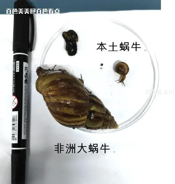 微信截图_20230717092802.webp