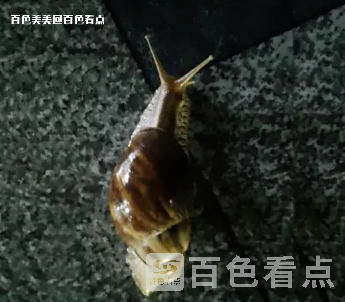 微信截图_20230717092752.webp