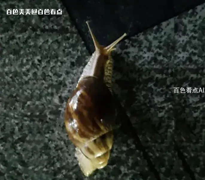 微信截图_20230717092752.webp