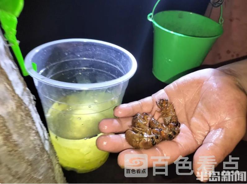 微信截图_20230718090934.jpg