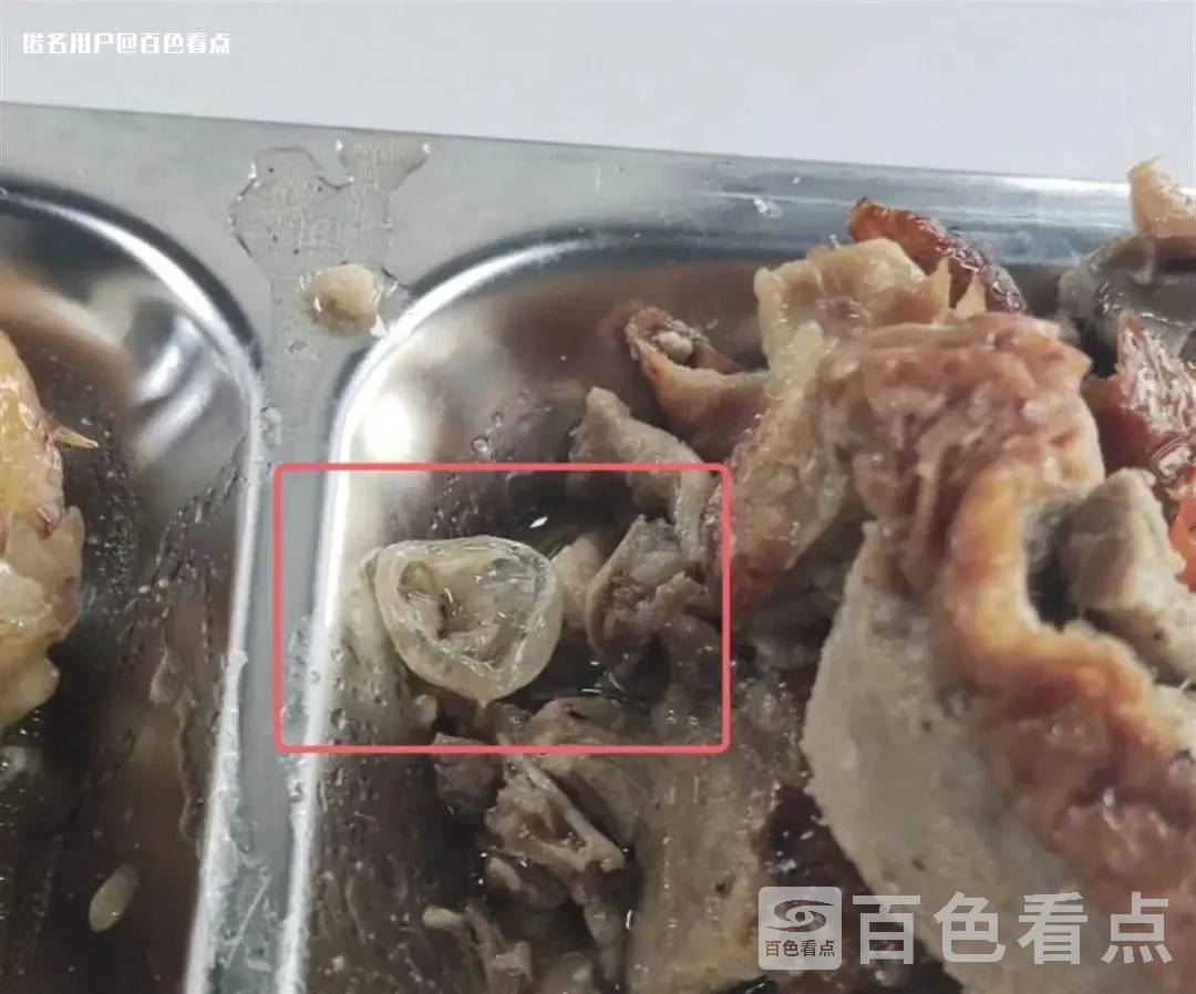 微信图片_20230718160501.webp