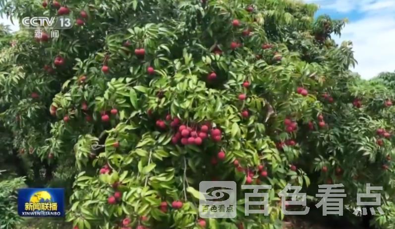 微信截图_20230718170543.jpg