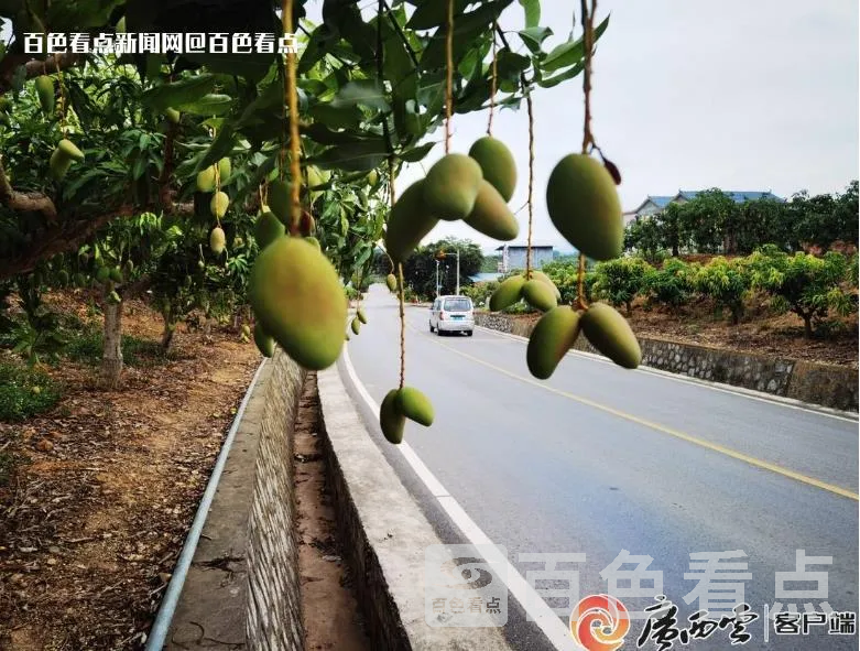 微信截图_20230720110906.webp