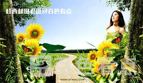 2_232311_1.webp