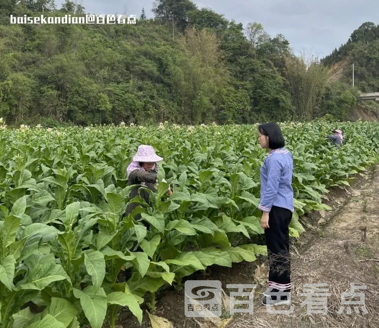 微信截图_20230812175848.webp