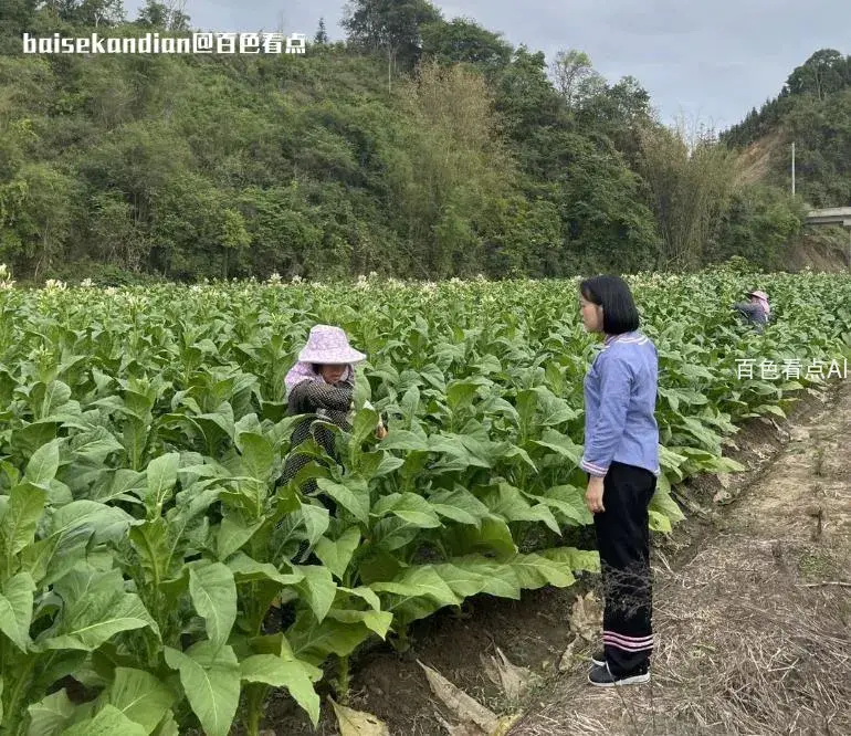 微信截图_20230812175848.webp