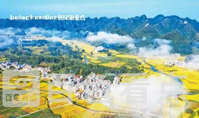 auto-orient,1 (1).webp