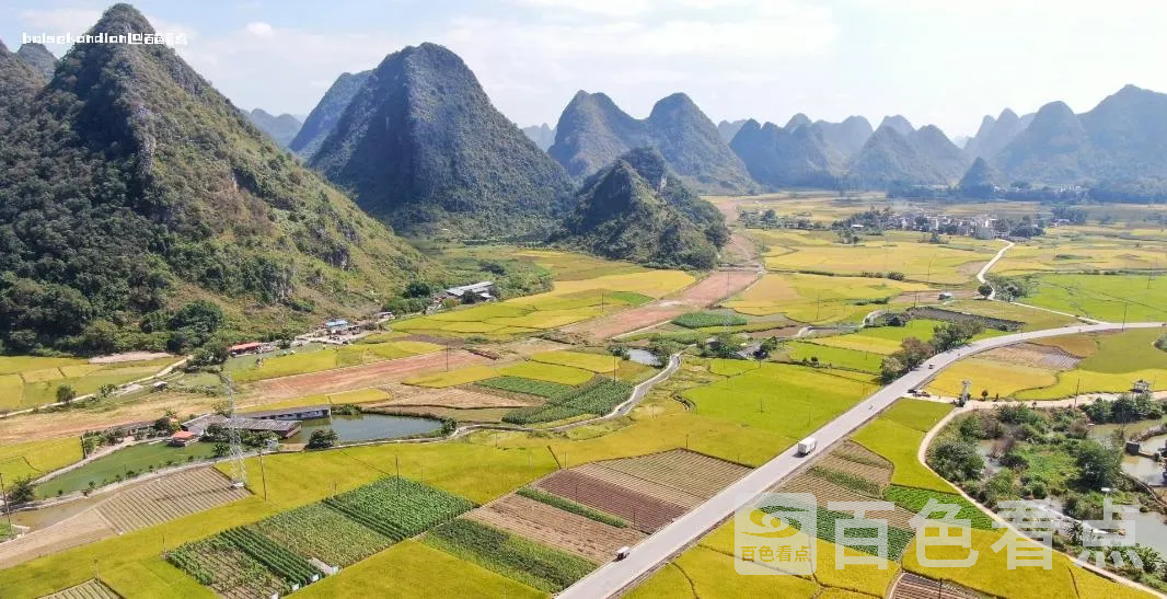 微信截图_20231031171645.webp