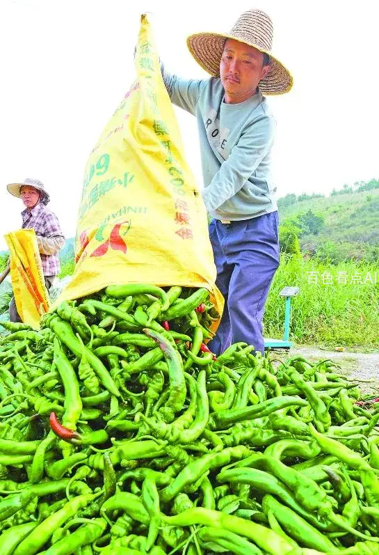 微信截图_20231204125404.webp