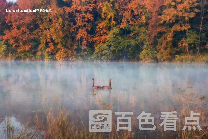 001Wv39tgy1hknhktyc1sj655b3fjx6x02.webp