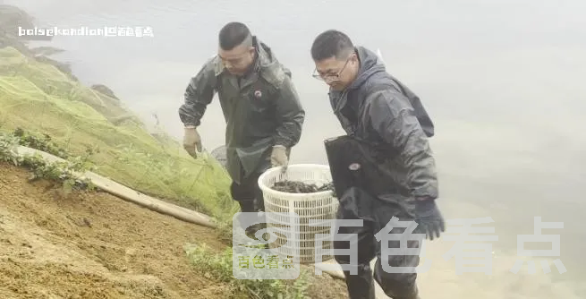 微信截图_20240202002925.webp