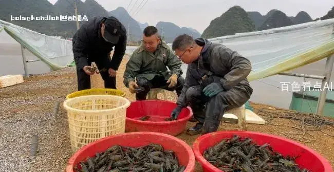 微信截图_20240202002952.webp