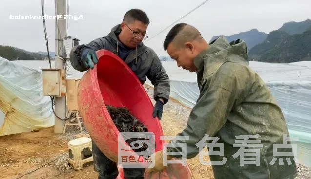 微信截图_20240202003001.webp