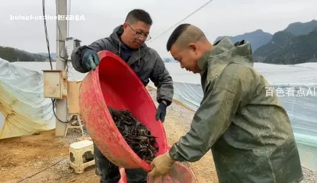 微信截图_20240202003001.webp