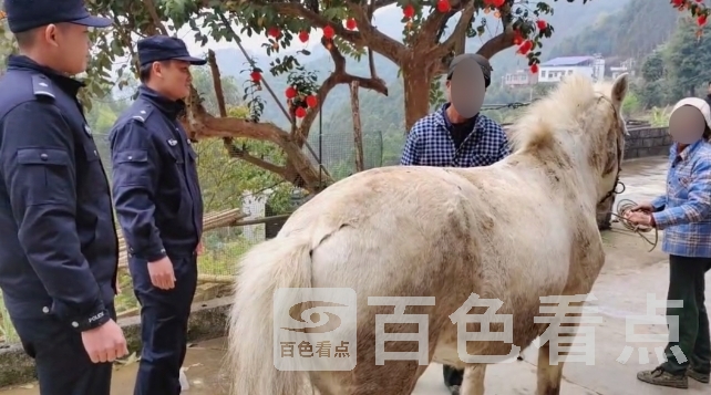 微信截图_20240224175005.jpg