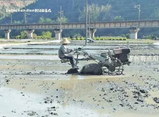 微信截图_20240311123136.webp
