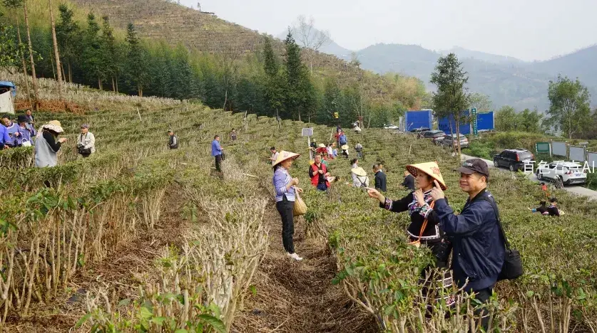 微信截图_20240318150254.webp