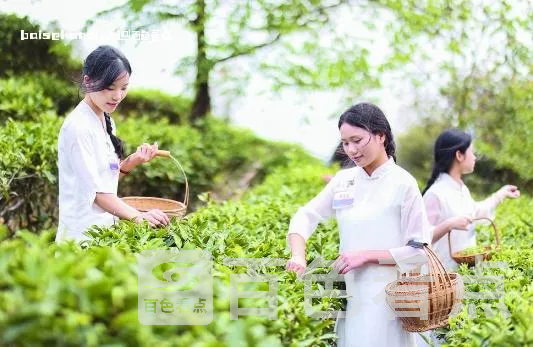 微信截图_20240330110341.webp