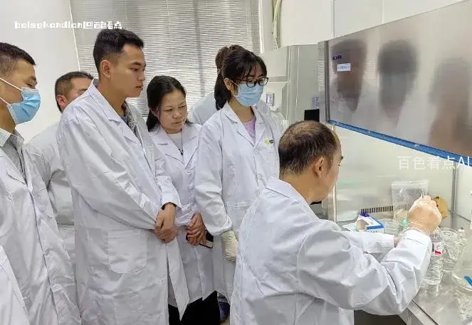 微信截图_20240330223032.webp