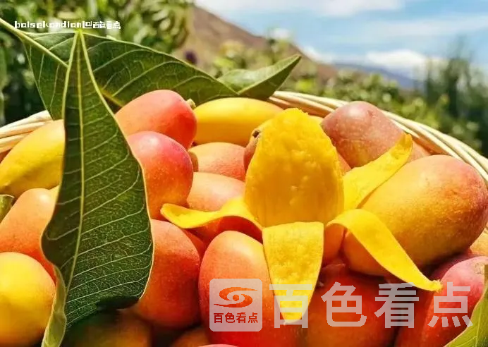 微信截图_20240416181004.webp